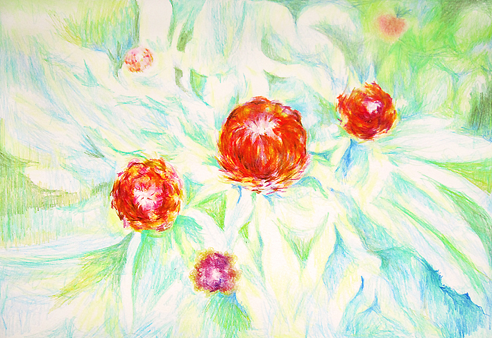 最近画的水彩、彩铅 菊花|纯艺术|水彩|朗晴在画