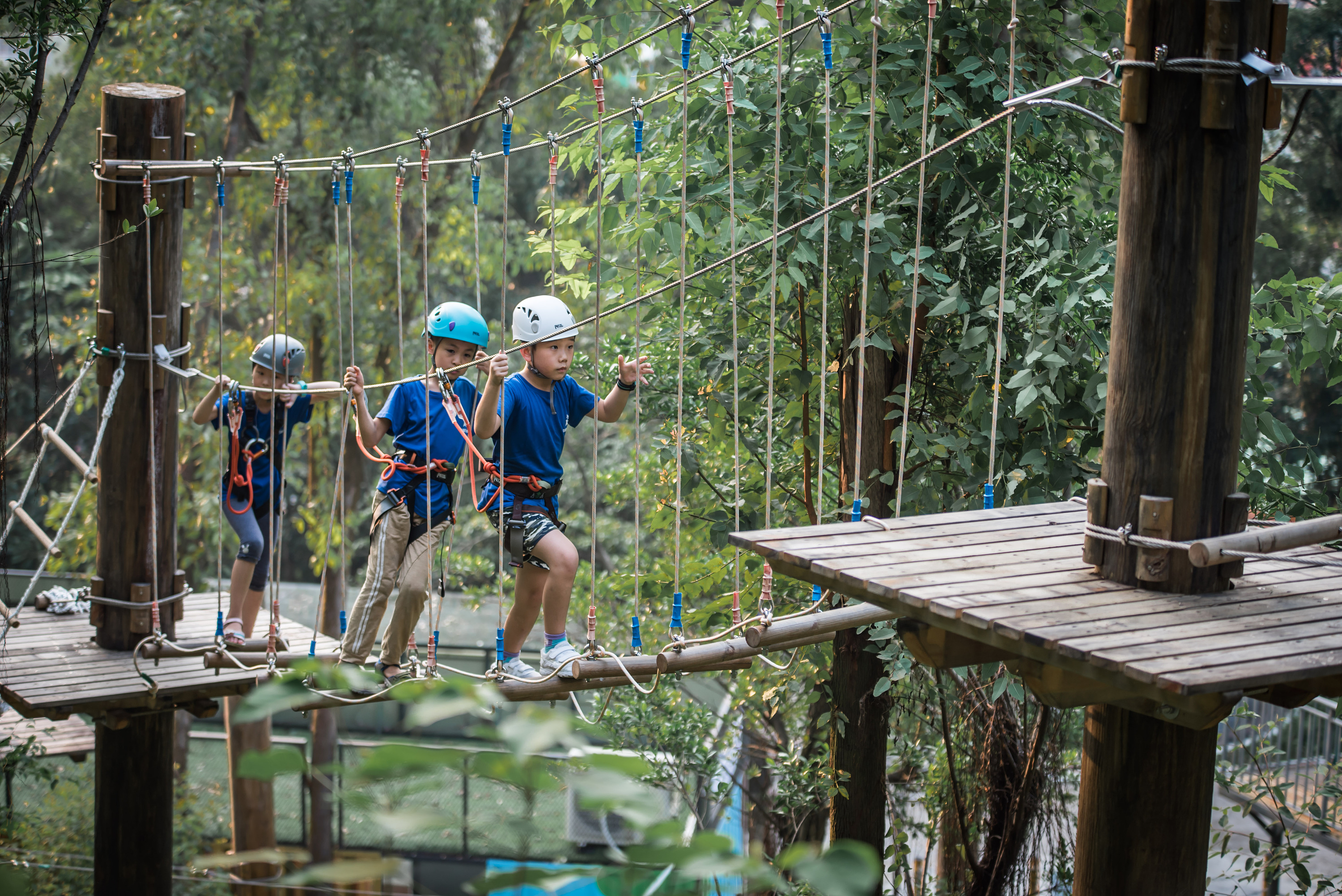 可拉熊丛林探险营地|摄影|环境\/建筑|兄弟连营地