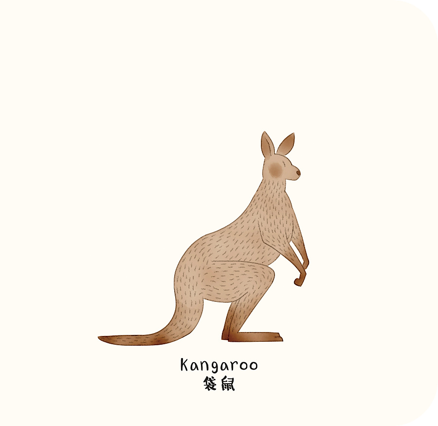 forest-kangaroo