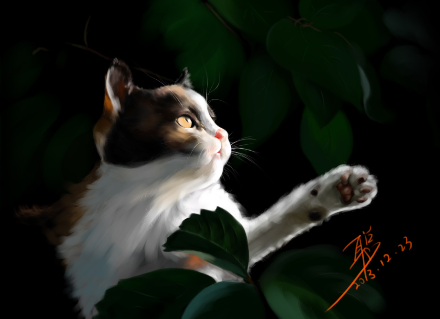 《猫咪》手绘板\/数位板插画|绘画习作|插画|bab