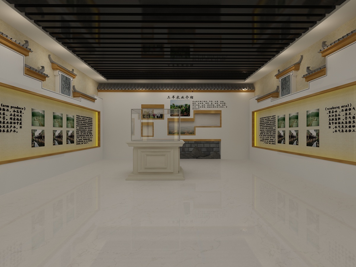 校史馆 设计效果图 3d设计 展厅 展馆设计