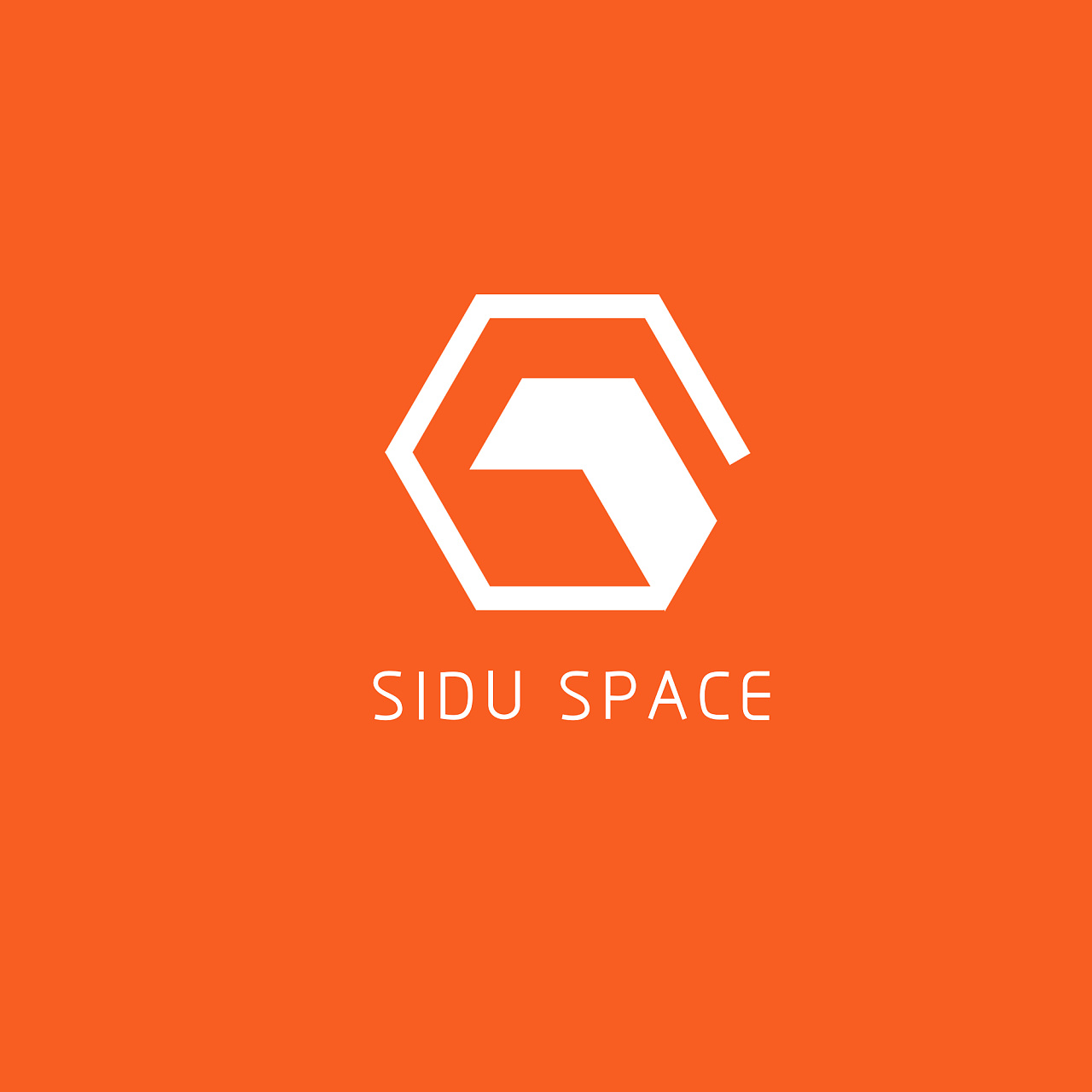 四度空间设计工作室|siduspace logo 定稿!
