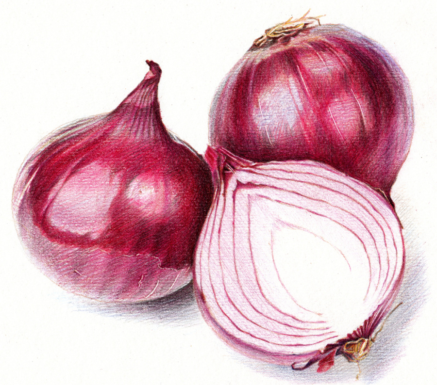 2012~2013彩铅画磨笔小品汇总|彩铅|纯艺术|超