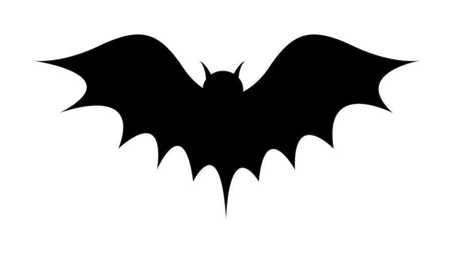 【PS】名字花样图案拼成|图形\/图案|平面|白日