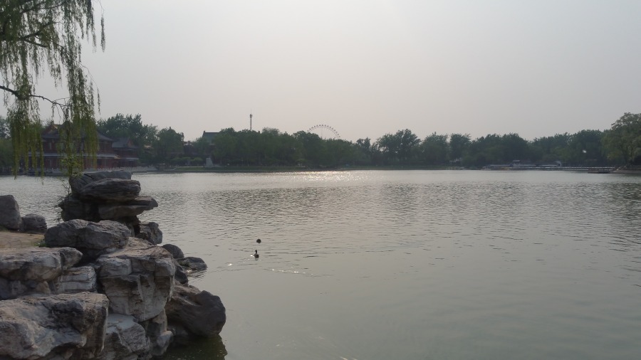 龙潭湖公园|风光|摄影|zhao_9920 - 原创设计作