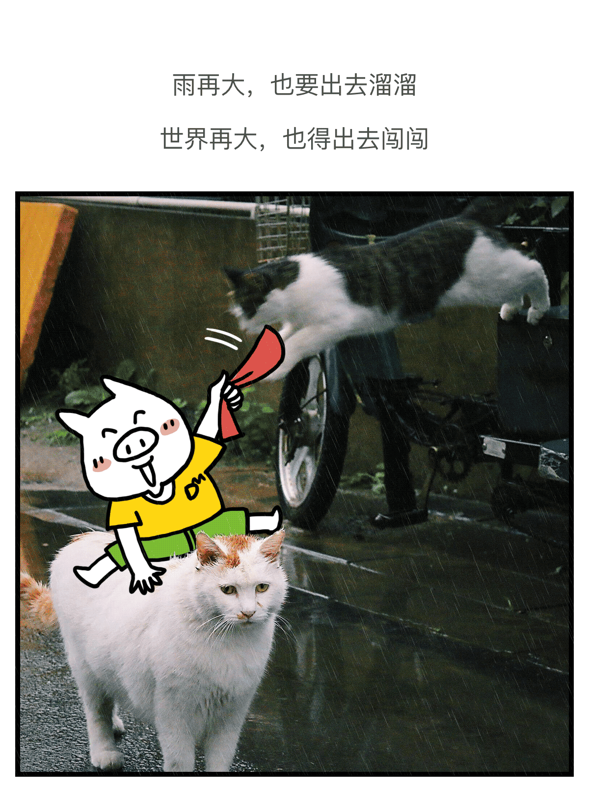 雨天