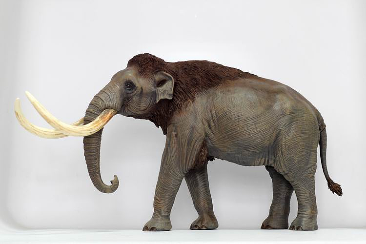 远古巨兽——草原猛犸象|手工艺|手办/模玩|画画的