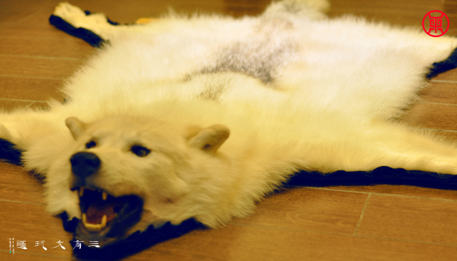 三商文玩汇-鼎轩堂-北极狼|静物|摄影|中国三道