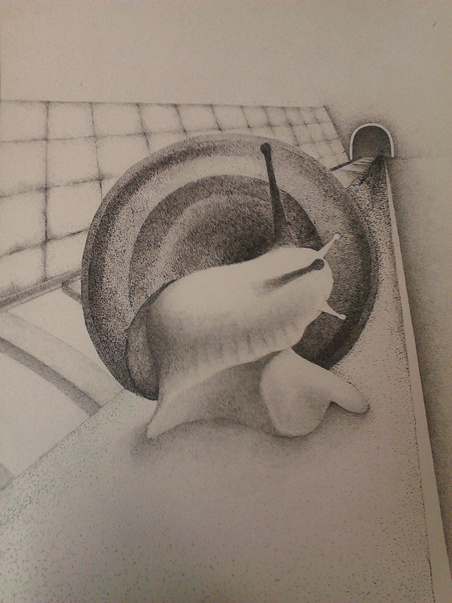 针管笔画:蜗牛