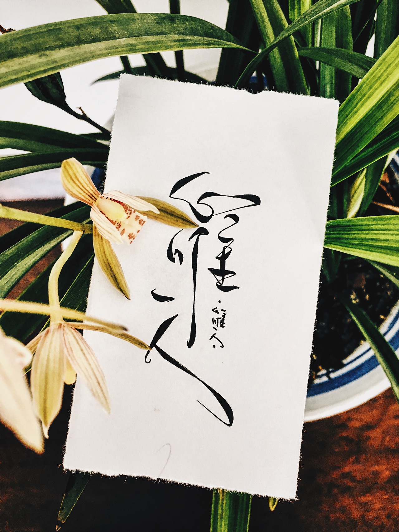 手写菊花体设计|平面|字体\/字形|零雨其蒙蒙 - 原创作品 - 站酷 (ZCOOL)