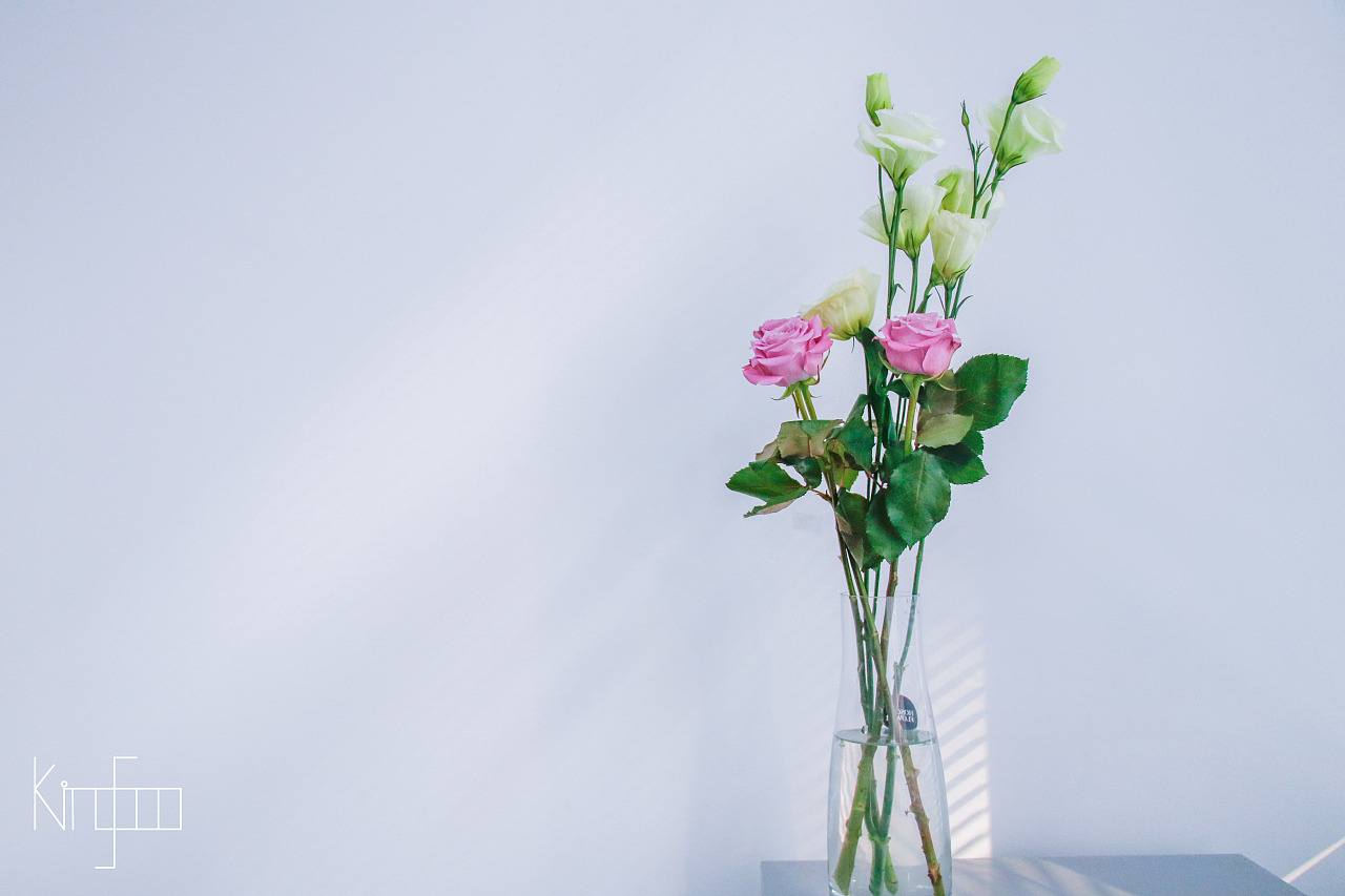 桔梗花+紫玫瑰|摄影|静物|KingSoo - 原创作品 - 站酷 (ZCOOL)