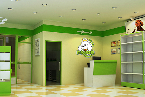 郑州宠物店设计公司-宠物店装饰公司哪家好|空