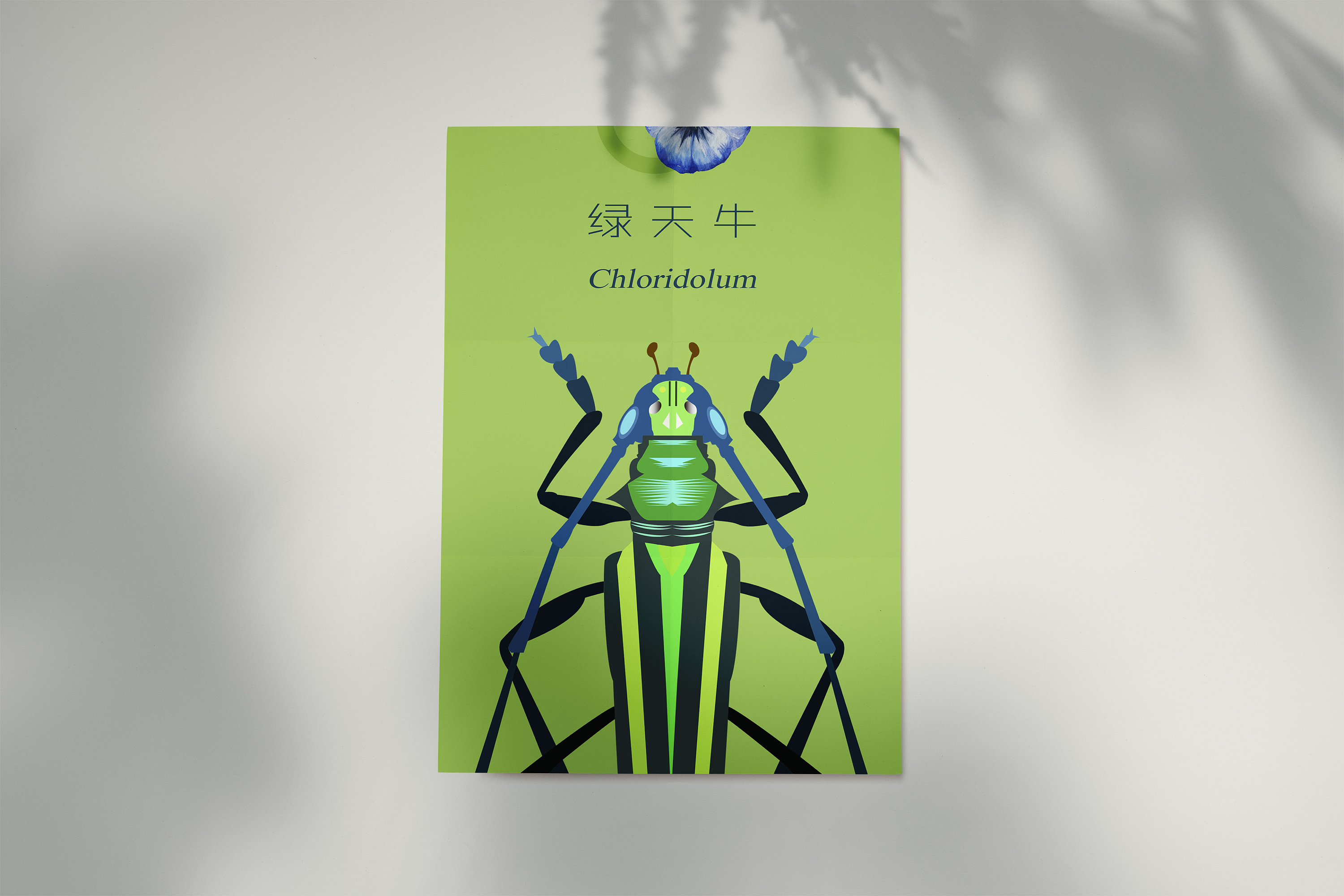昆虫纪念卡片