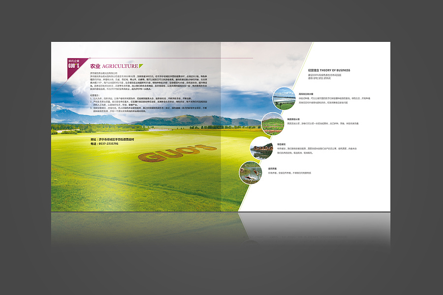 生态农场宣传册 绿色生态农业宣传册 |书装\/画册
