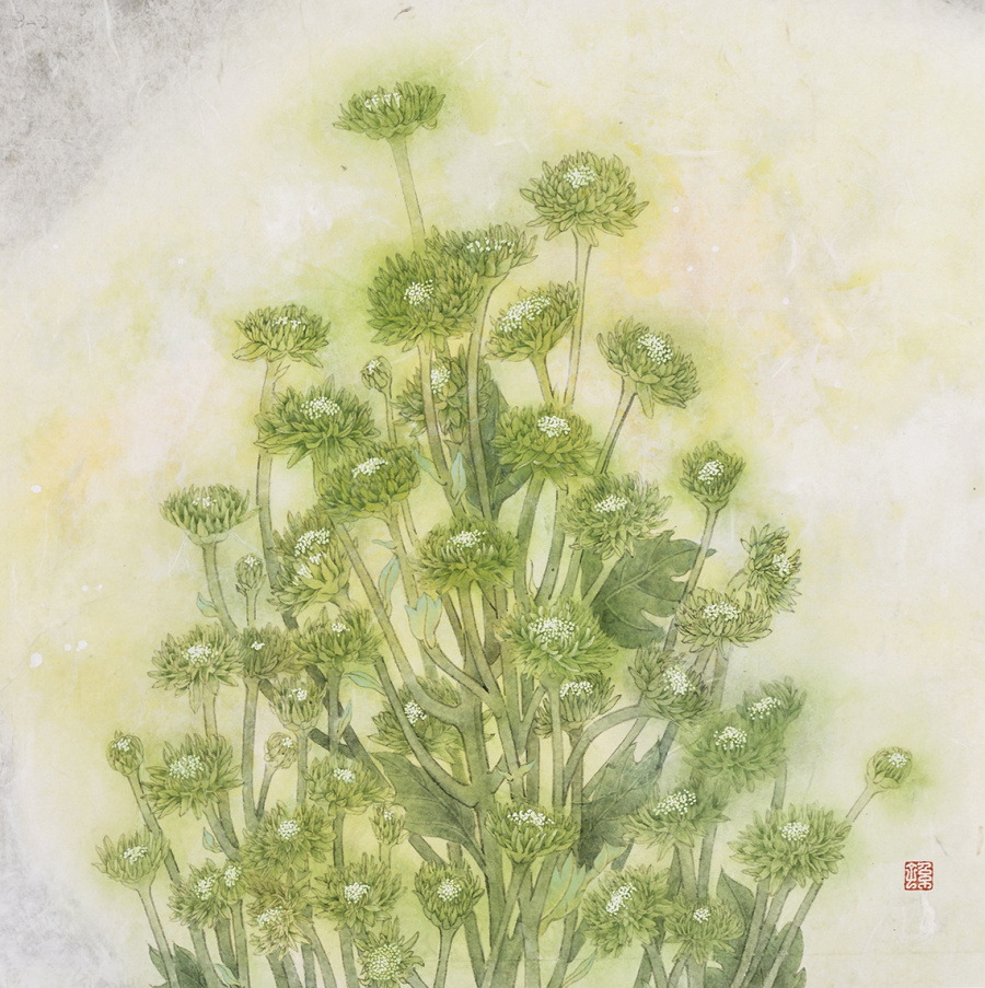 《不会说话的爱情-雏菊》|国画|纯艺术|童的瞳 