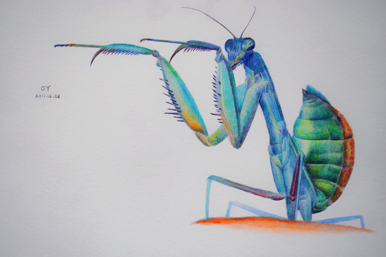 《螳螂战士》|动漫|绘本|团子与叮铛 - 原创作品 - 站酷 (ZCOOL)