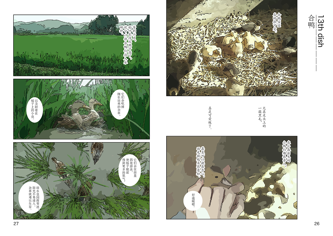 漫画书《小森林》2