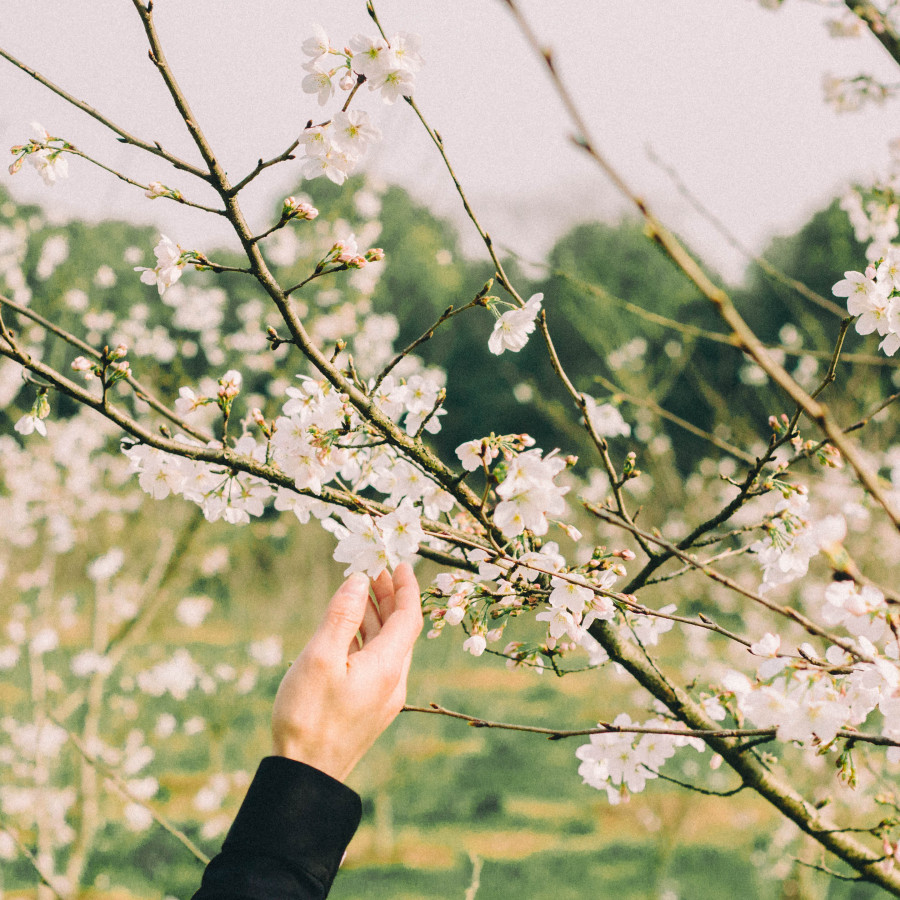 童话|静物|摄影|巡柝 - 原创设计作品 - 站酷 (ZC