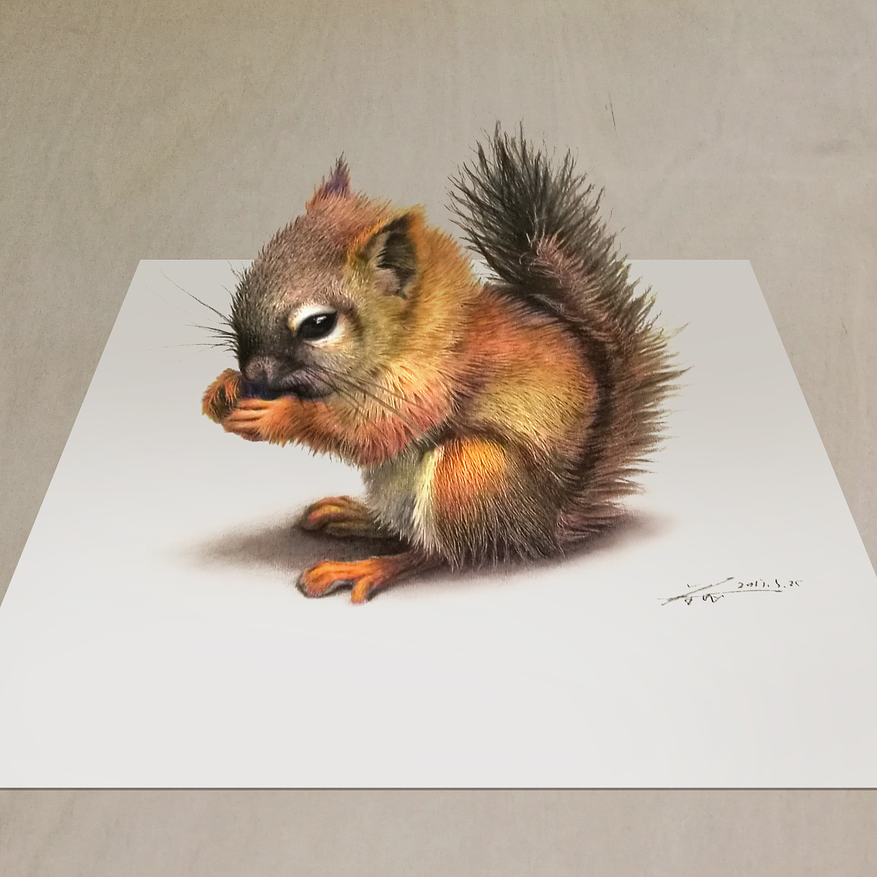 【彩铅立绘】一只小松鼠
