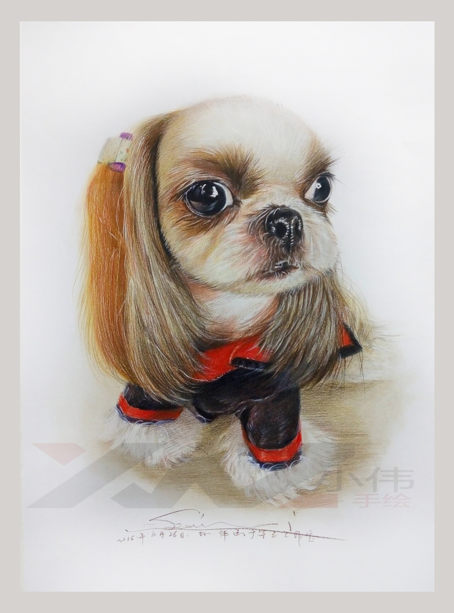 子小伟彩铅画,《萌宠系列》可耐的汪星人来袭
