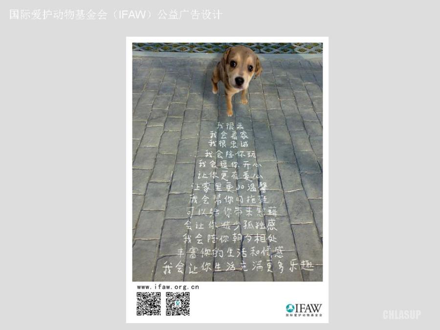 国际爱护动物基金会(IFAW)公益广告设计(作业