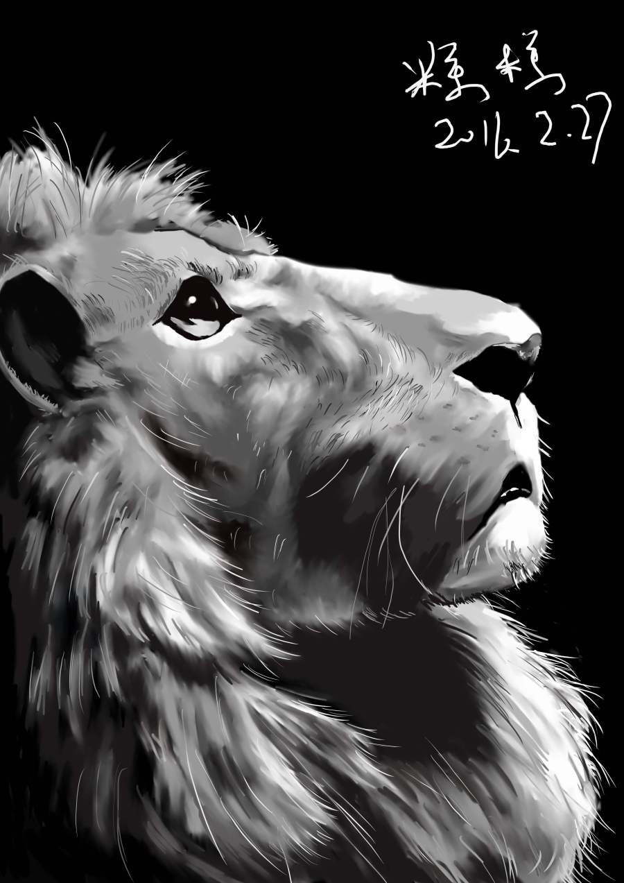 狮子|绘画习作|插画|哦卖糕糕 - 原创设计作品 - 