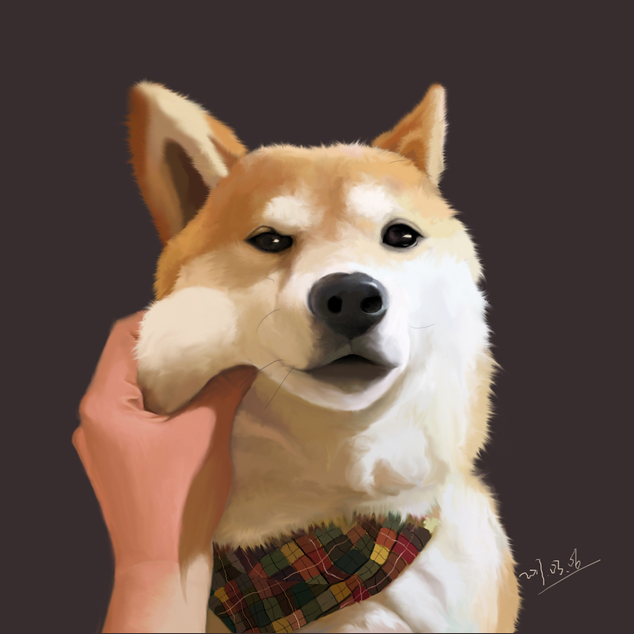 手绘-第一张手绘作品-柴犬(我心中的富贵)|插画