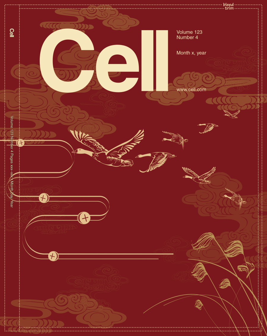 CELL 科学杂志 封面设计习作|其他平面|