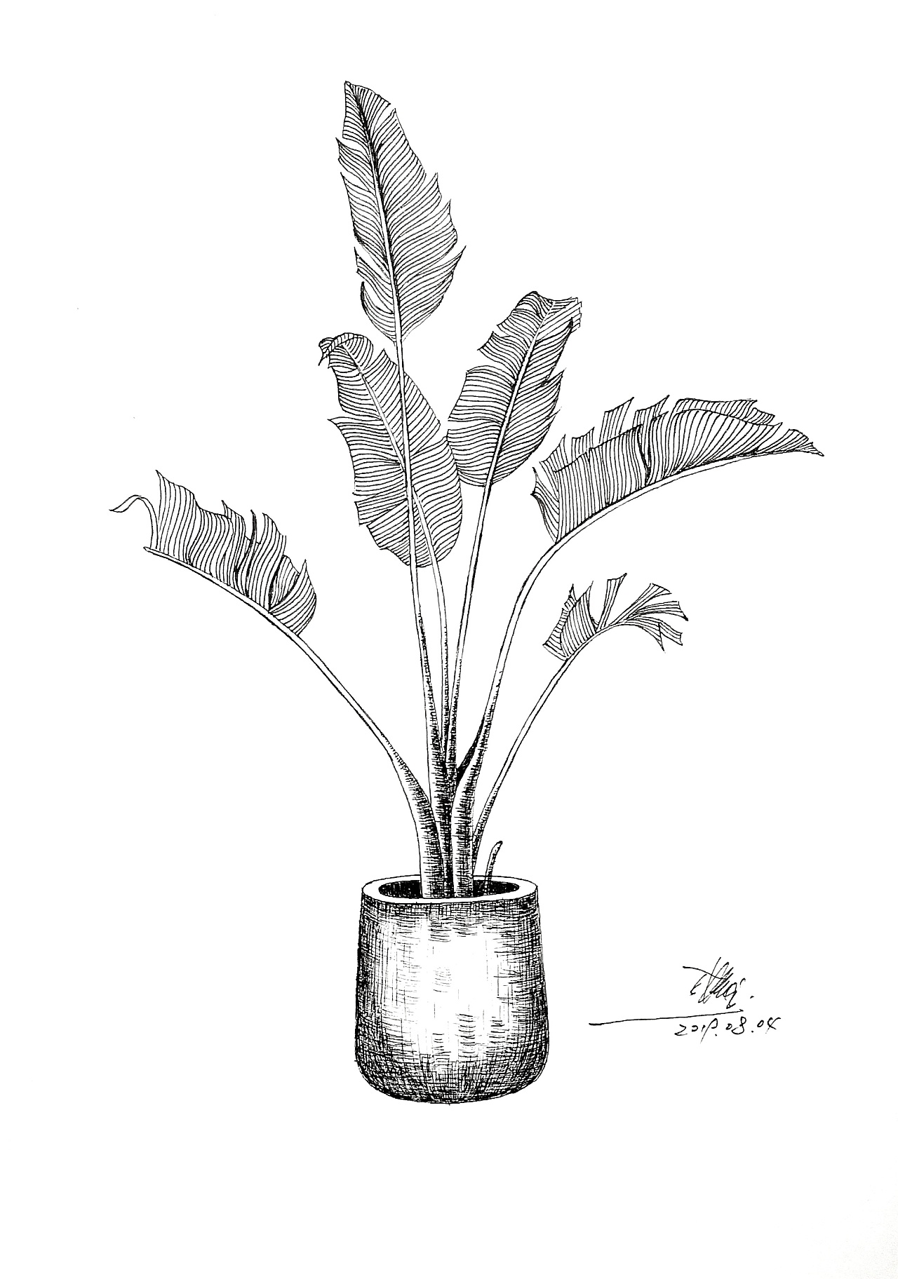 201908 植物盆栽|纯艺术|钢笔画|穿山狂图 - 临摹作品