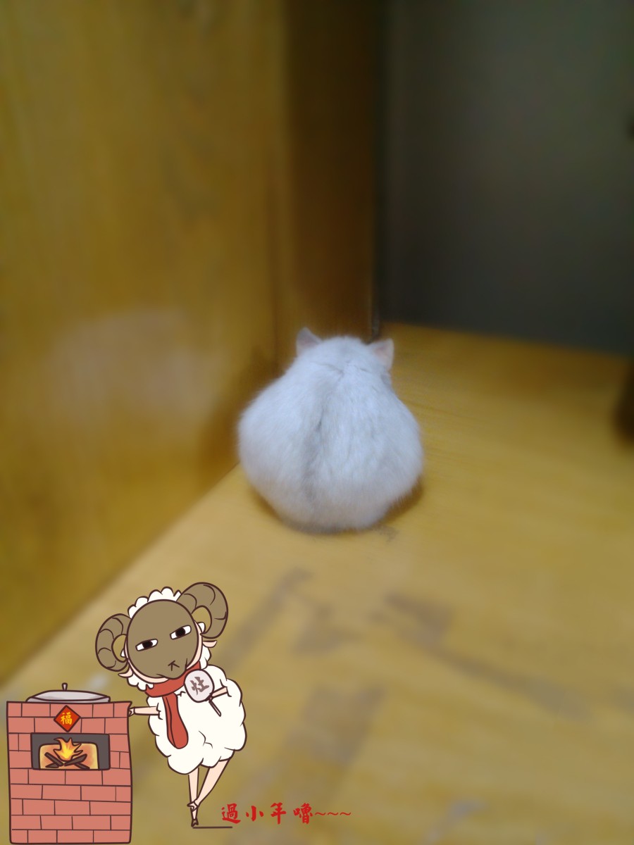 原创创意贴纸|图形\/图案|平面|T0ng彤 - 原创设计