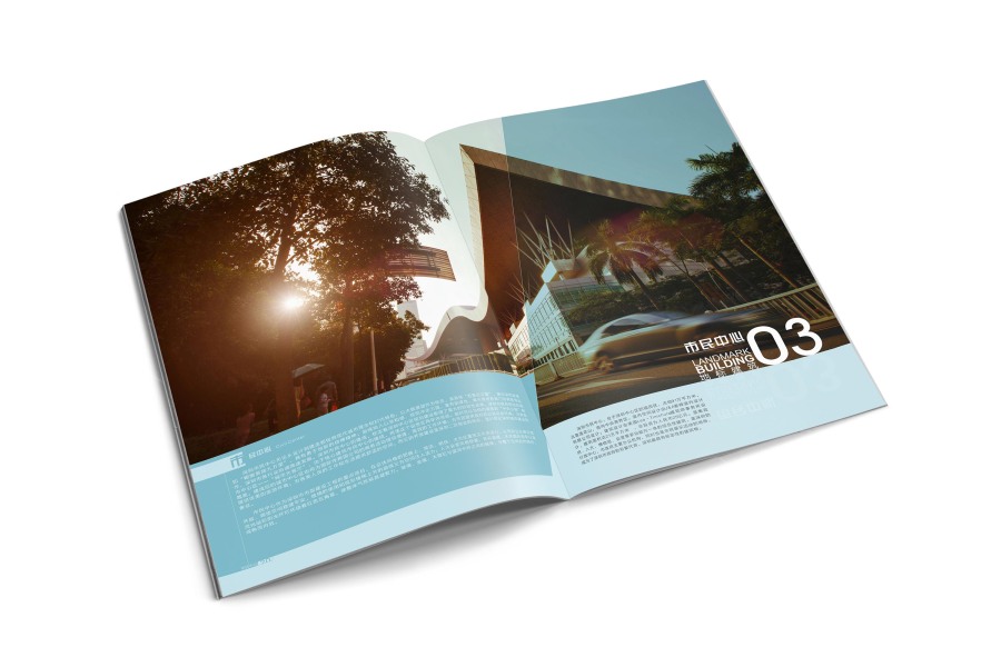 来了就是深圳人|书装\/画册|平面|DoublebinS - 原