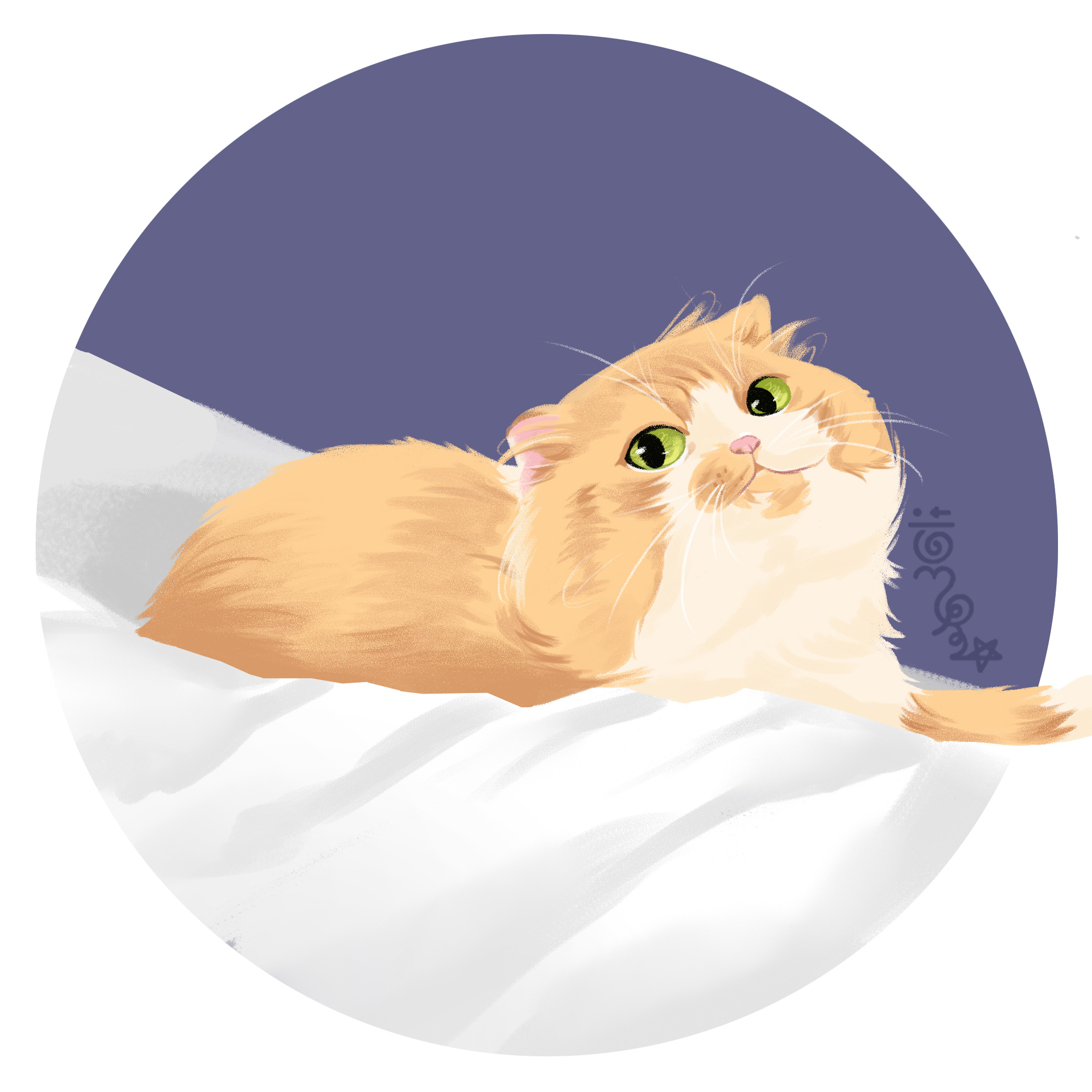 猫咪集合图