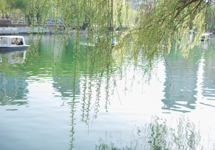 不要辜负春天里的美景|其他摄影|摄影|erduodu