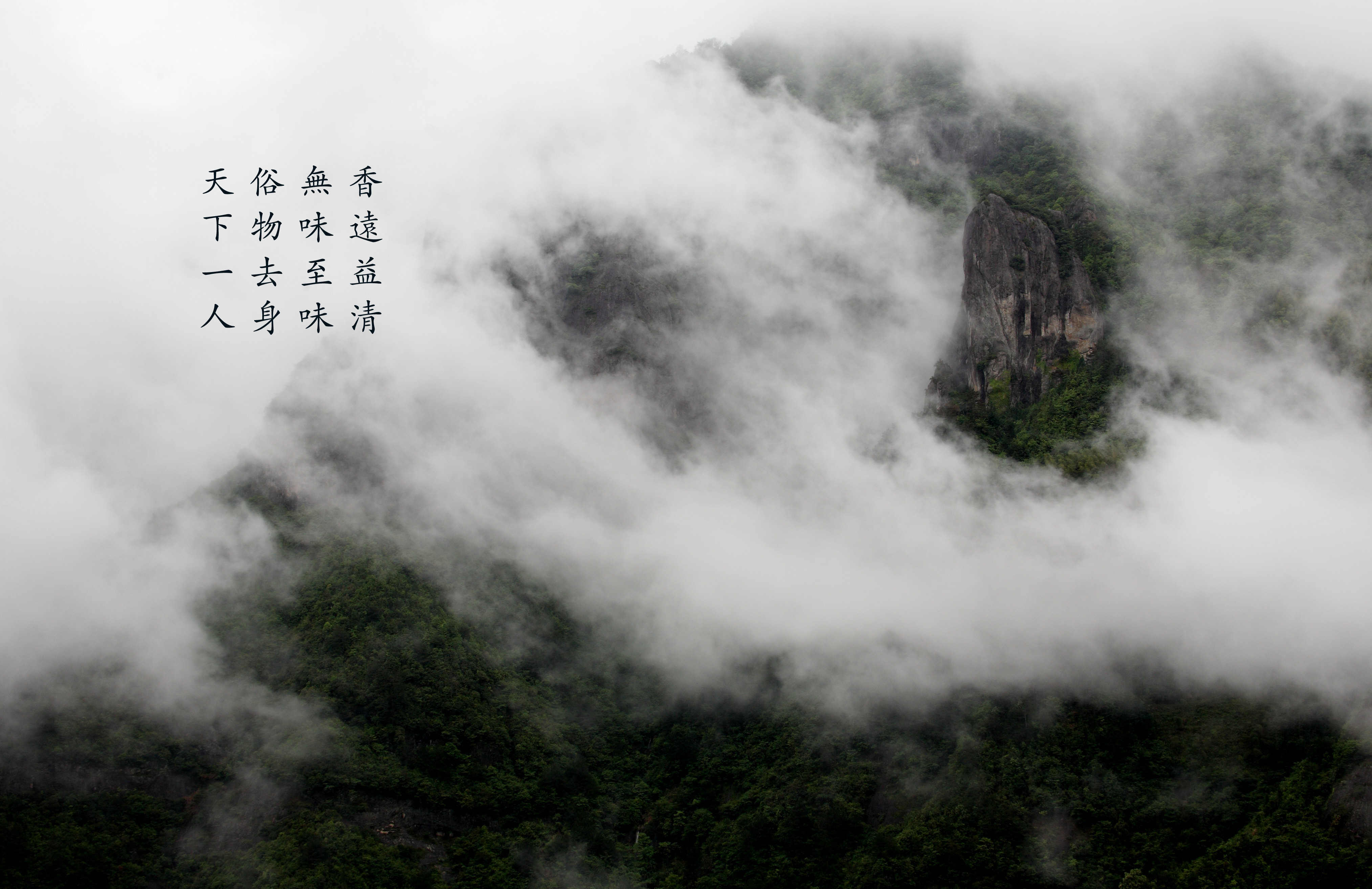 天下一人视觉标识