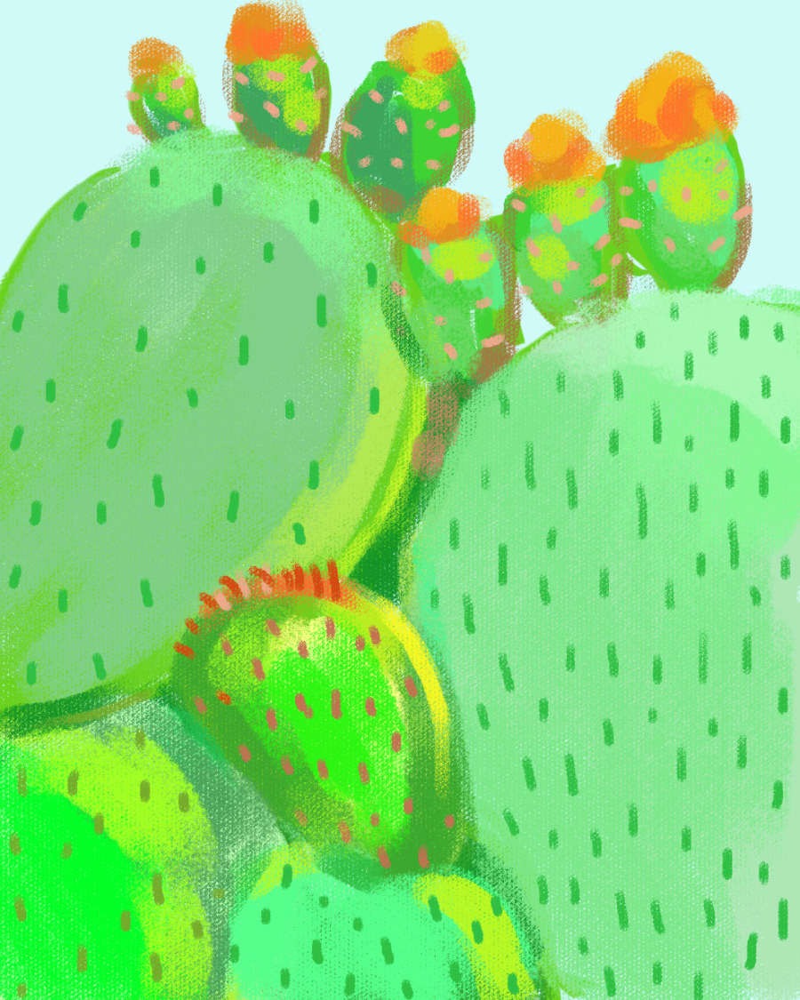 仙人掌|绘画习作|插画|南方妹坨 - 原创设计作品