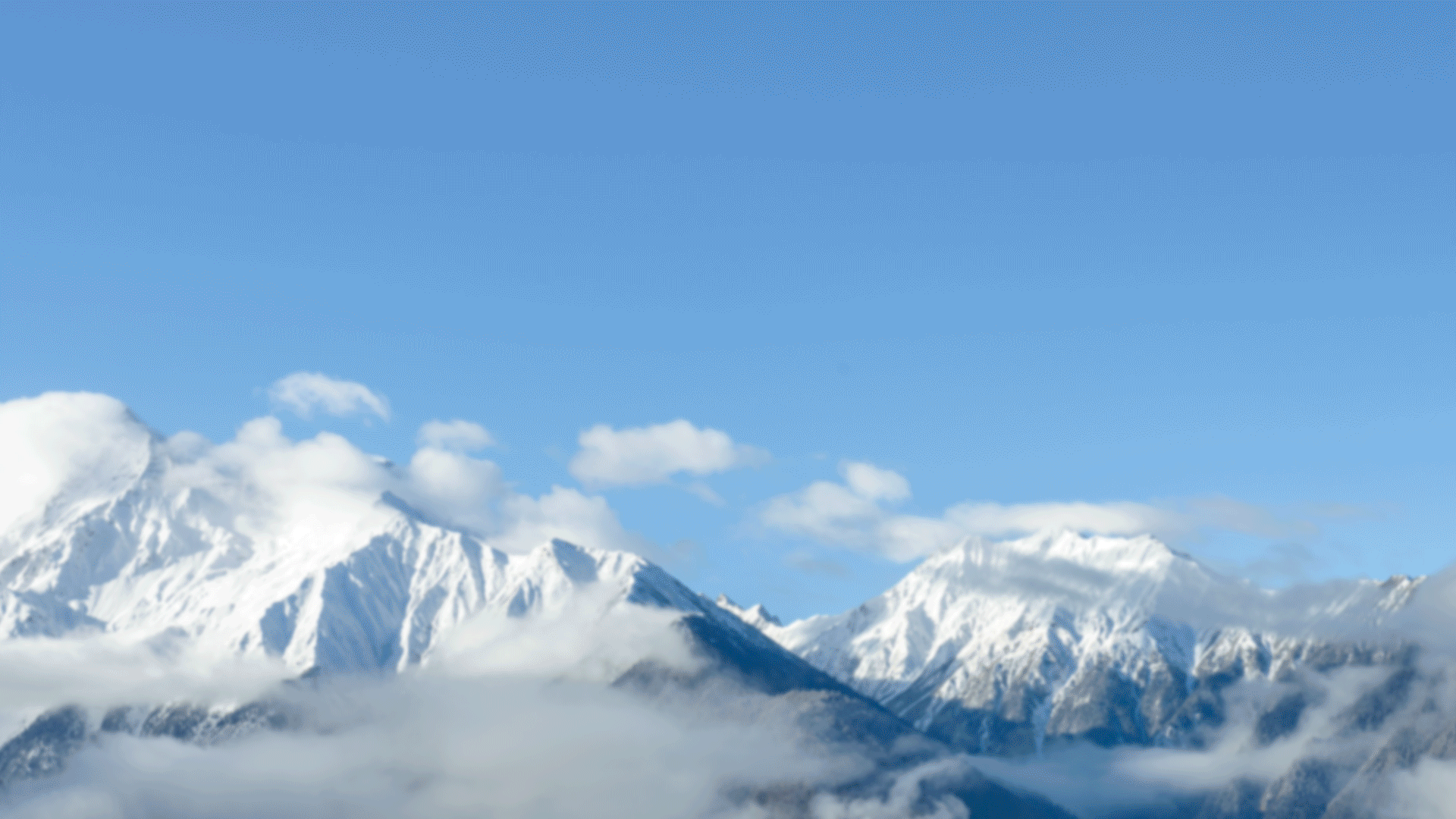 电商摄影 | oppo reno动效gif - 原创作品 - 站酷