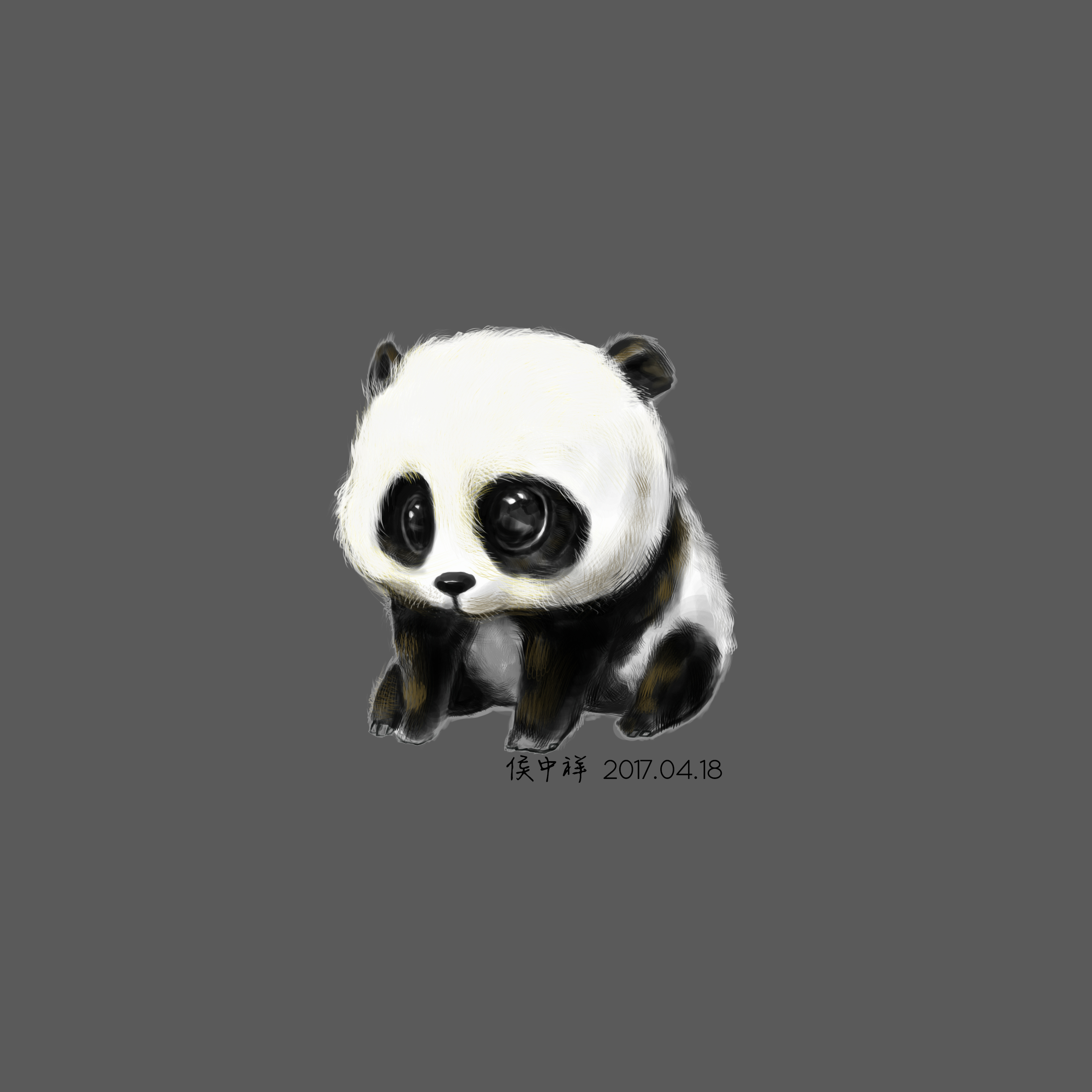 分享一只萌萌哒的小熊猫