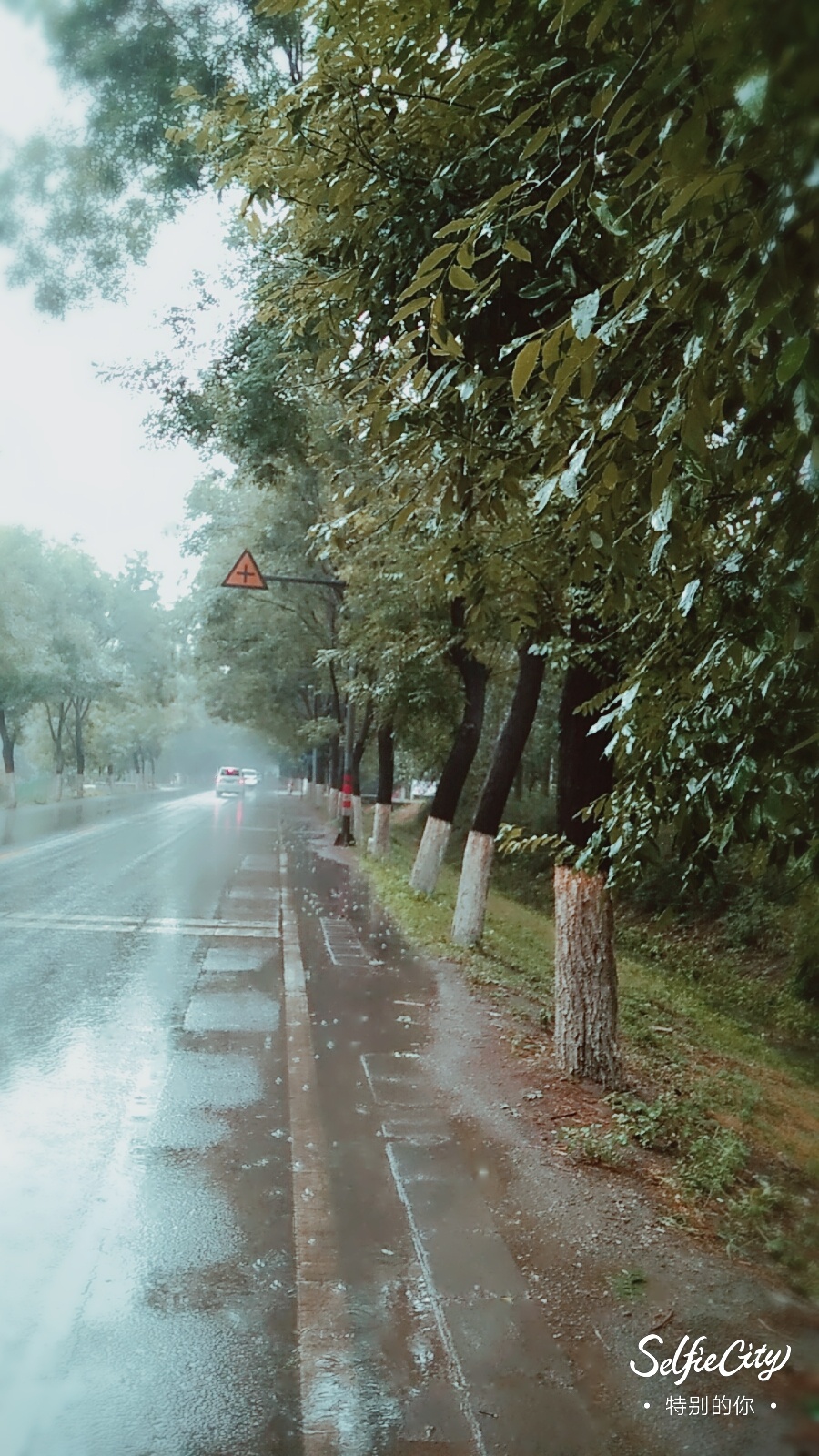 雨中漫步