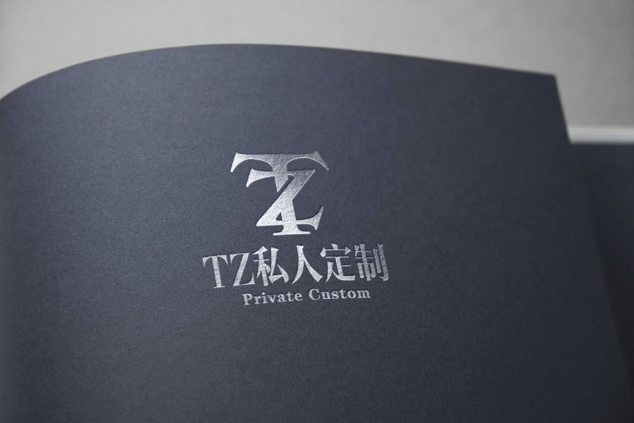 定制服装品牌logo设计-TZ|标志|平面|优度设计 
