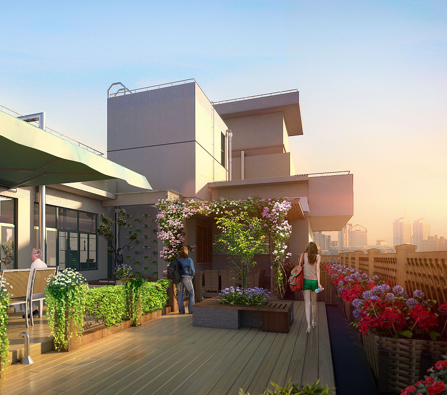 上海普陀区教育学院屋顶花园设计施工项目|景