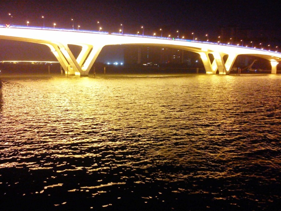 我家的小斗士们 ,小鹦鹉成天就为了地盘斗来斗