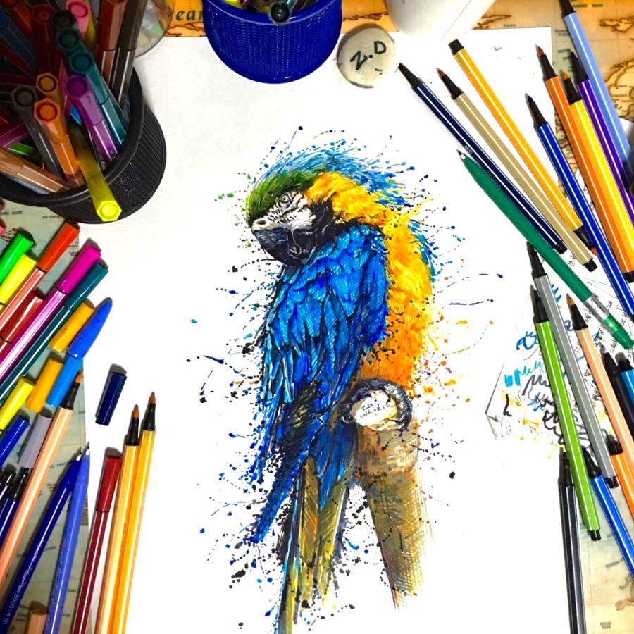 ZD水彩笔鹦鹉。|水彩|纯艺术|ZDshouhui - 原创