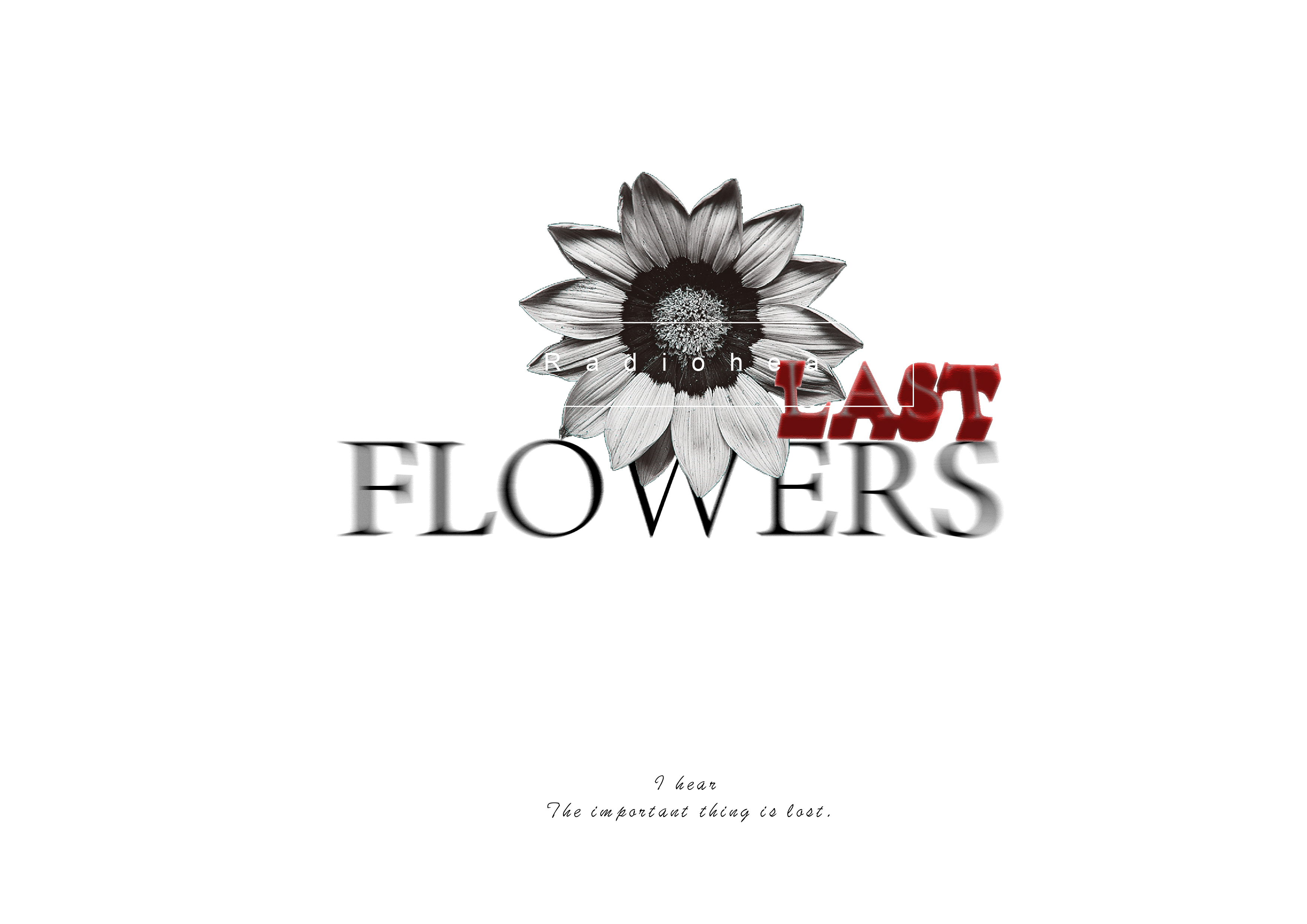 《last flowers》字体设计/组合形式