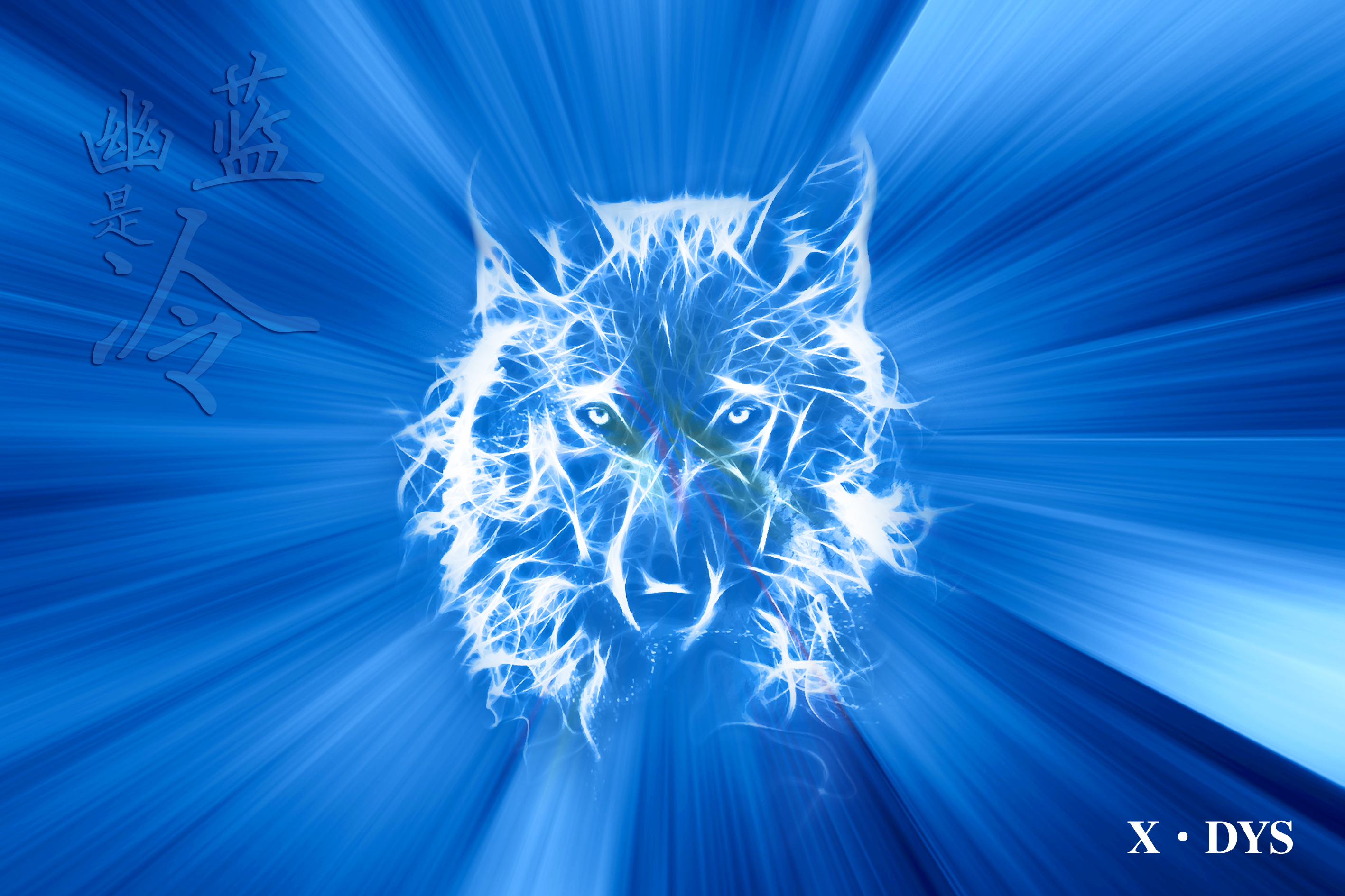 壁纸 狼走到你身边，蓝色的眼睛，树木，眩光 3840x2160 UHD 4K 高清壁纸, 图片, 照片