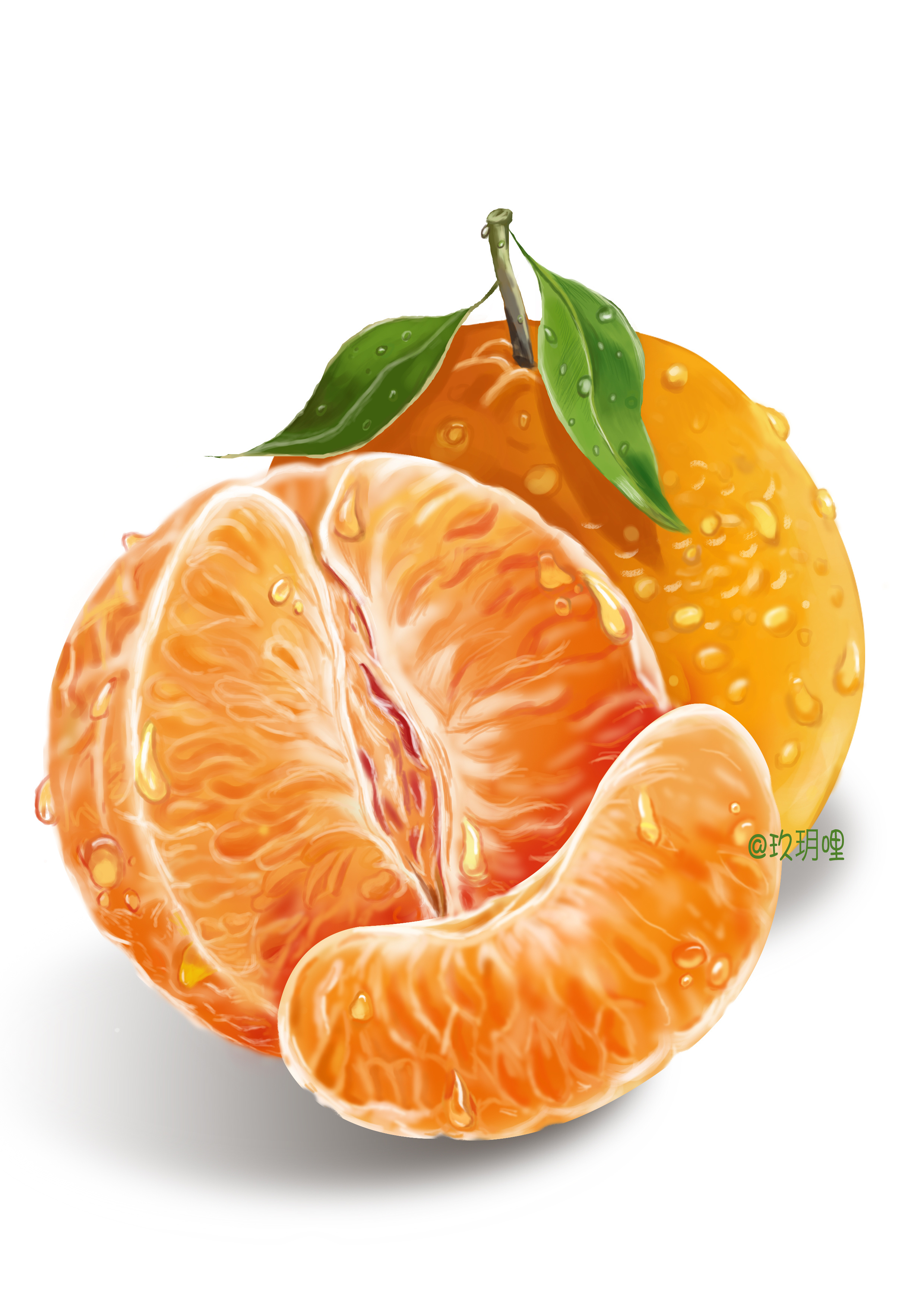 橙子 写实绘画