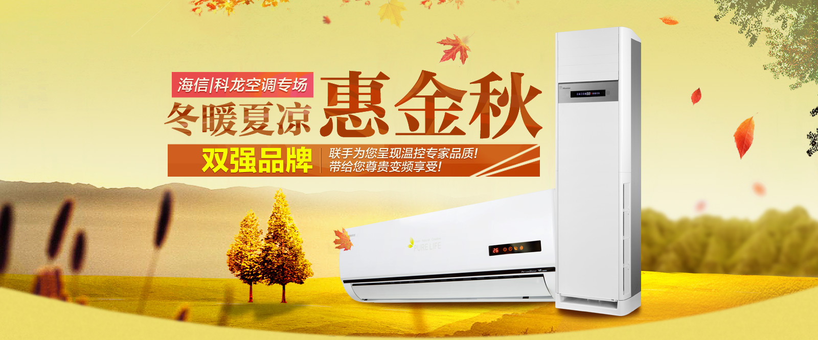 海信科龙电气简介