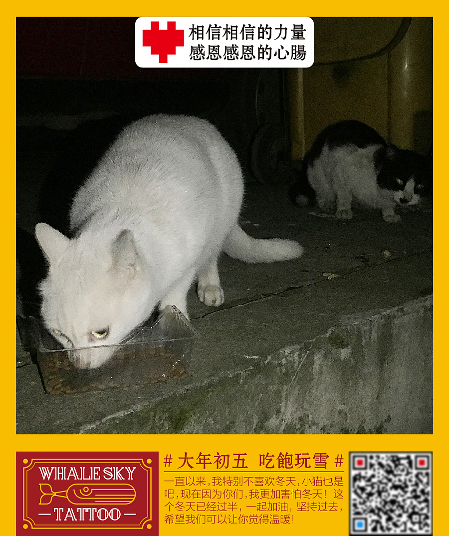 分享红包 请流浪小猫吃年饭活动海报|海报|平面