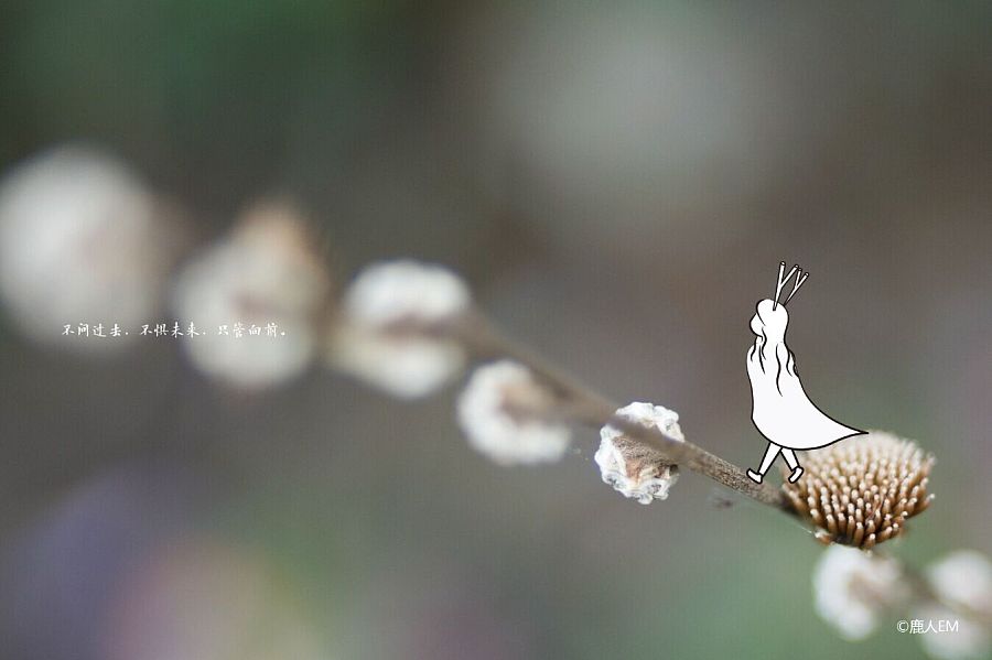 2015,还有我,还有梦|绘本|动漫|鹿人EM - 原创设