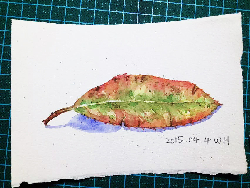水彩涂鸦 树叶       