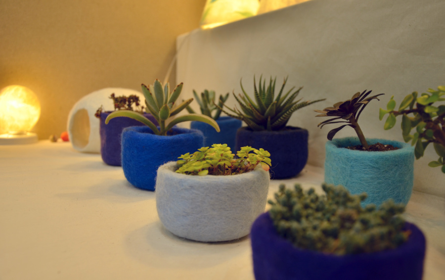 中南大学建筑与艺术学院2015届视觉传达专业